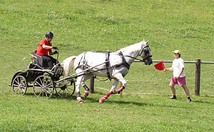 maraton 2005