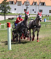 maraton 2005