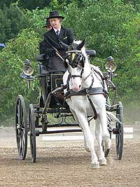 parkur 2006