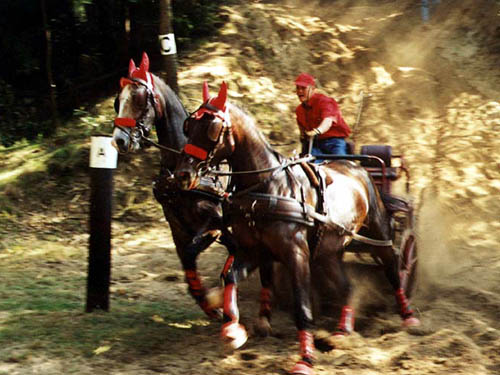 Zvody dvojspe